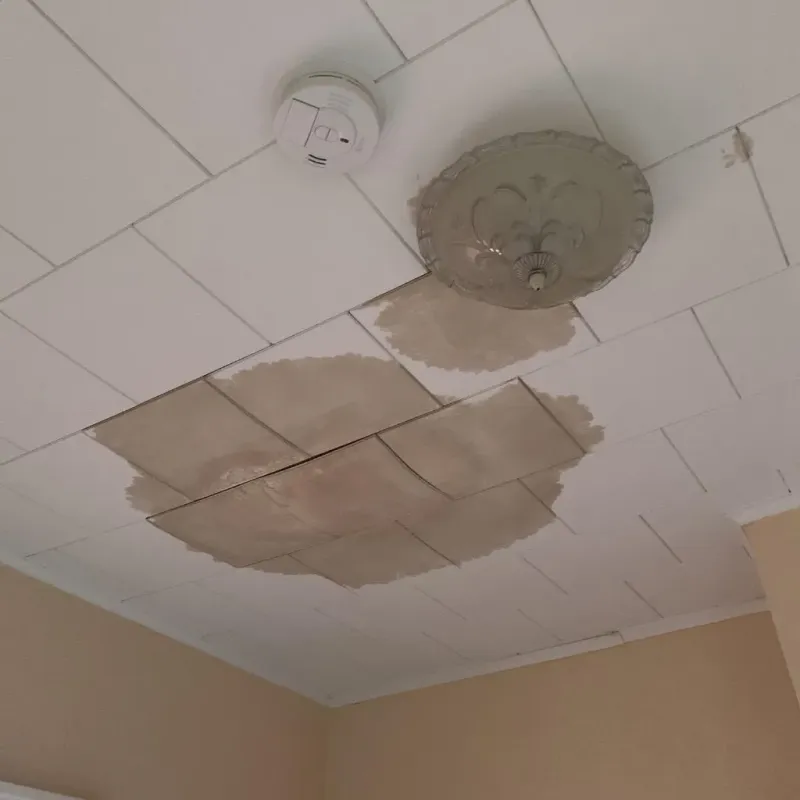 Ceiling Water Damage Repair in Lino Lakes, MN