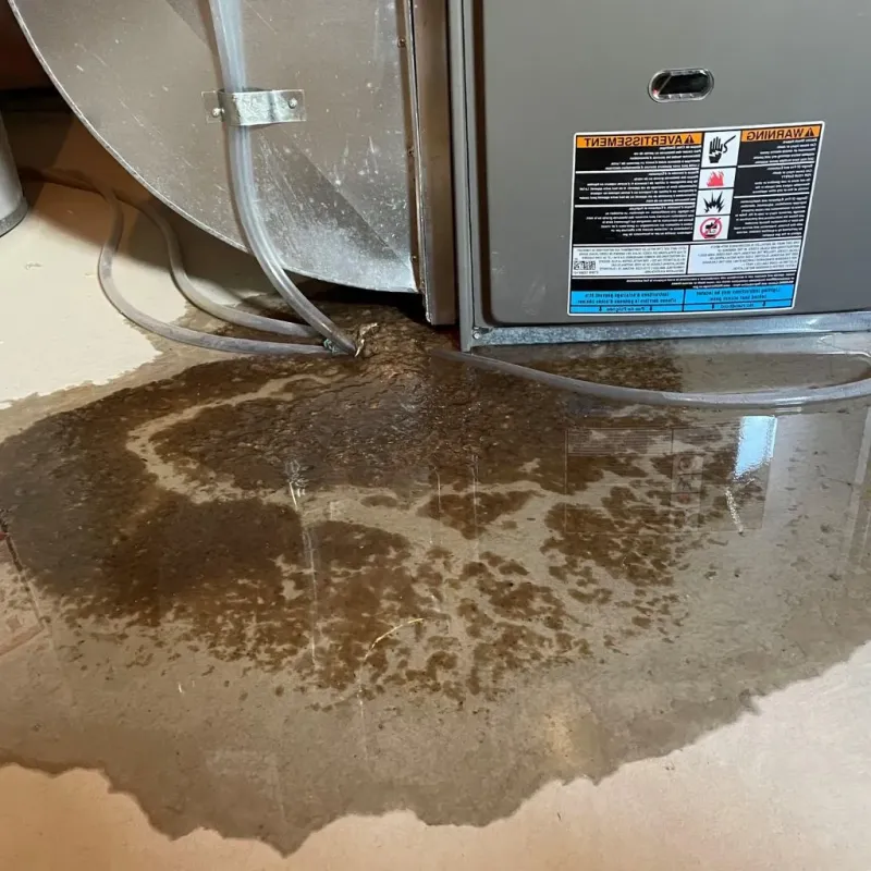 Pipe Burst and Leak Restoration in Lino Lakes, MN