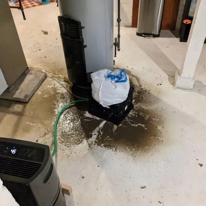 Sewage Backup Cleanup Service in Lino Lakes, MN